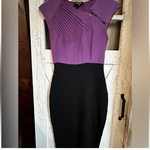 Bebe Bodycon Colorblock Dress